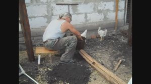 Жизнь в деревне. Пристройка к сараю. Навес для курей и цыплят. От дождя и снега !