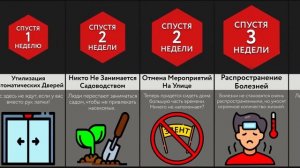 Если Насекомые Увеличатся В 1000 Раз