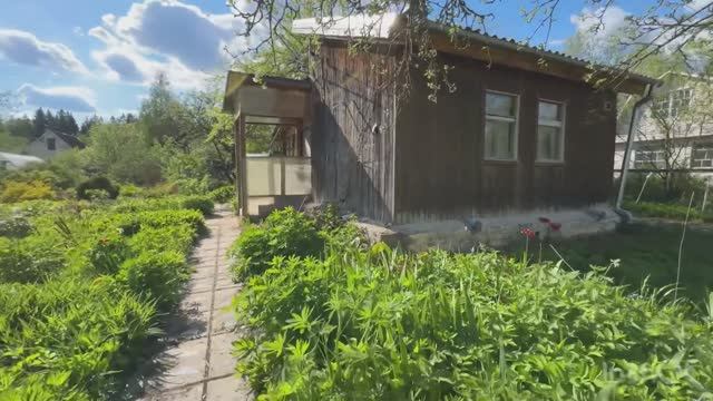 Дача в СНТ Кинематографист смотреть онлайн