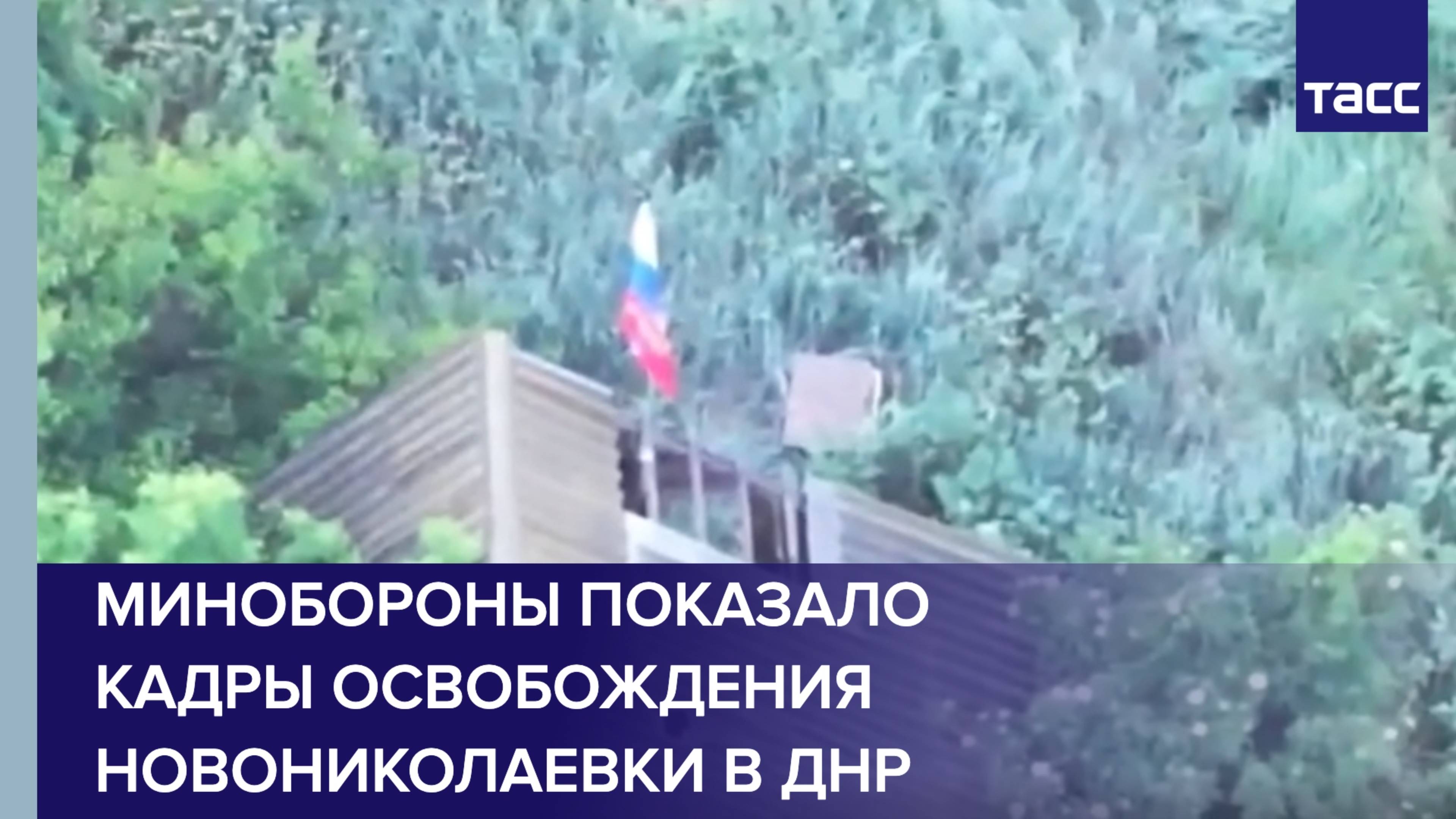 Минобороны показало кадры освобождения Новониколаевки в ДНР