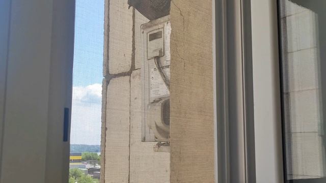 Любимуши в гостях у дедушки ( пока я в отпуске) смотреть онлайн