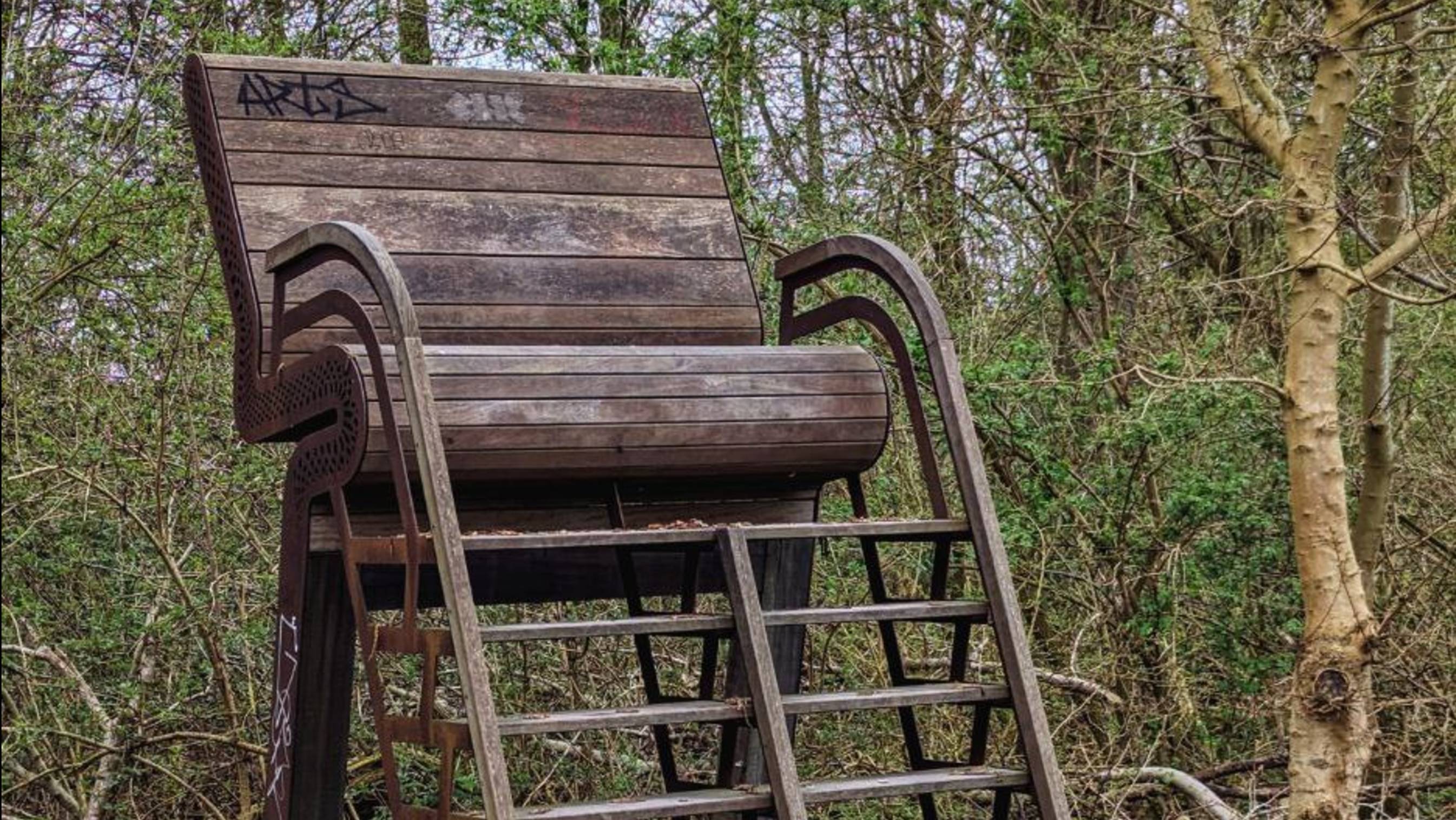 Забой бройлеров начался. смотреть онлайн