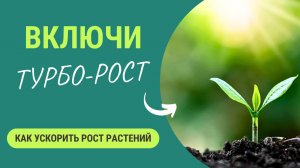 Секрет супер-роста🌱: как включить турбо-режим?