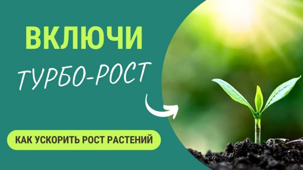Секрет супер-роста🌱: как включить турбо-режим?