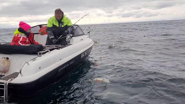 Териберка июнь 2025