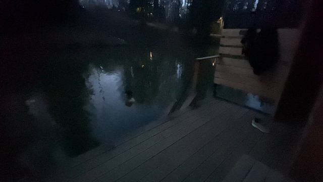 Купание. День 91. stop dog, where are you going