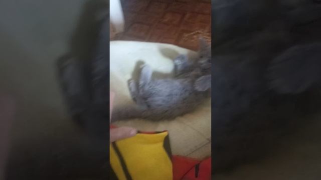 1000069928.mp4 смотреть онлайн