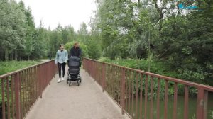 Все в лес! Новая экотропа появится в Новоорловском заказнике