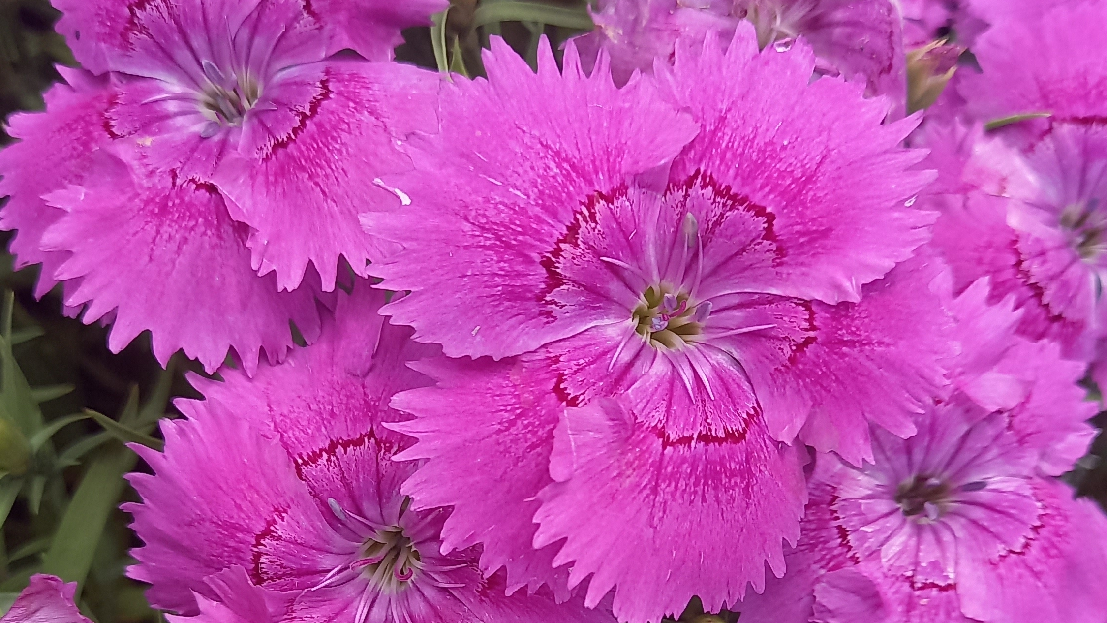 СП Вязальный переполох. Лето-2025//Июнь//Отчёт2//Продолжаю вязать кофточку на круглой кокетке смотреть онлайн