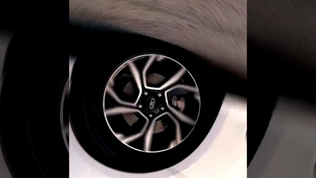 1000094115.mp4 смотреть онлайн