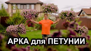 Как сделать КРАСИВУЮ АРКУ для петуний?
