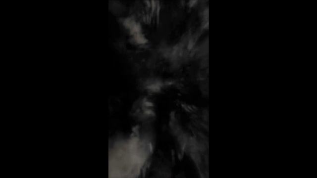 Футаж серый дым, туман, переход (2)