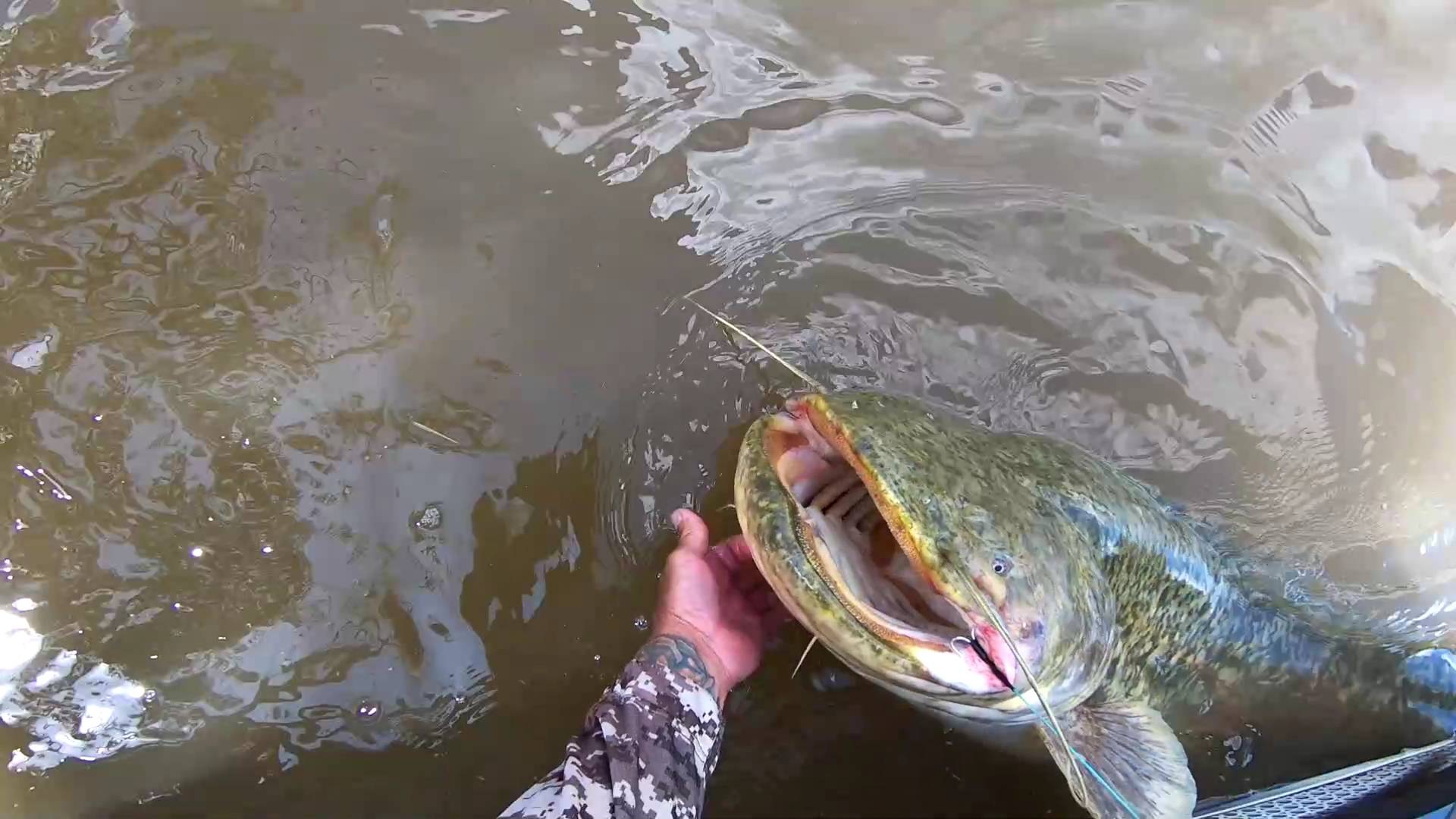 Сом не заставил себя долго ждать! смотреть онлайн