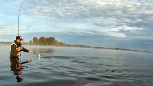 Рыбалка на спиннинг 2025. Ловля хищной рыбы на забытые приманки. Жерех, Щука, Лещ, Окунь.