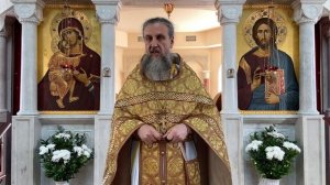 Почему ваш ум постоянно блуждает? Истина, которую скрывают. Отец Игорь Бачинин