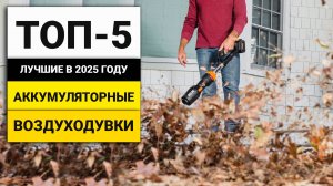 Лучшие аккумуляторные воздуходувки | ТОП-5 в 2025 году
