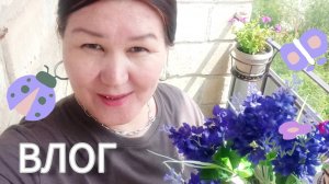 Почему погибли цветы🙈 Мои покупочки 🤗Цены
