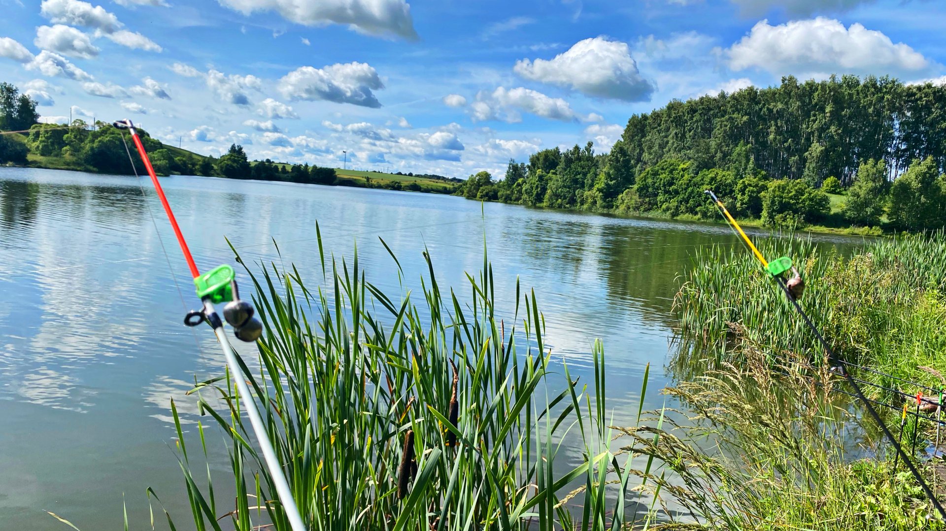 КОЛОКОЛЬЧИКИ ЗВЕНЯТ!!БЕШЕННЫЙ КЛЕВ КАРАСЯ на снасть «УБИЙЦА КАРАСЯ»!!! смотреть онлайн