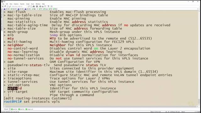 03. Configuring LDP-Signaled VPLS смотреть онлайн