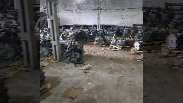 1000273015.mp4 gv смотреть онлайн