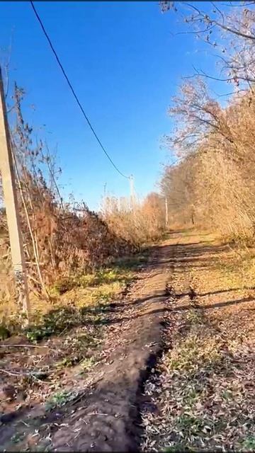 0630 (1) смотреть онлайн