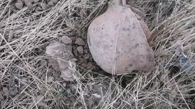 Немецкий блиндаж и помойка рядом