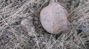 Немецкий блиндаж и помойка рядом