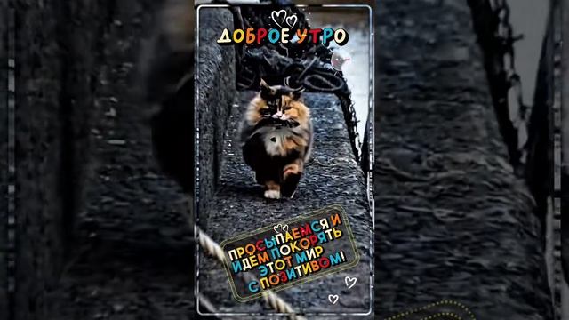 Доброе утро, Друзья ☕ 💖💖💖 смотреть онлайн