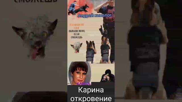 Путёвка за 7 тыщ. смотреть онлайн