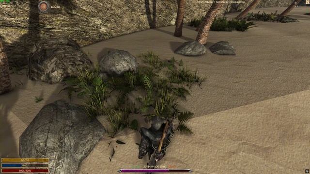 Ракушка под текстурой