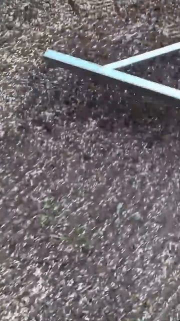 Мечта ленивого дачника: густо, зелено, без хлопот! смотреть онлайн