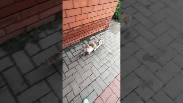 обычный день смотреть онлайн