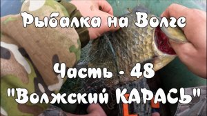 Рыбалка на Волге. Часть - 48. «Волжский карась».