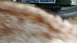 Мопеды сериал 319