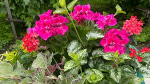 🏡 Я дома! Обзор усадьбы спустя неделю.