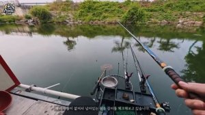 Красивые поклевки на Корейскую оснастку.