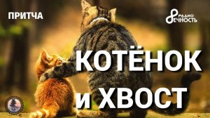 #Притча  "Котёнок и хвост"