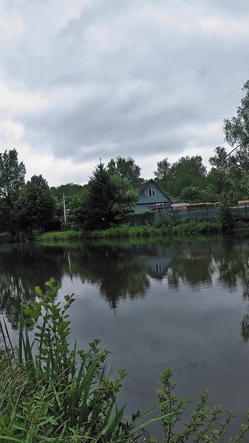 Разлавливаем приманку Klop от ZUB