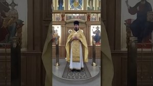 Светильник для тела есть око. Никто не может служить двум господам. Проповедь о. Вячеслава. 29.6.25