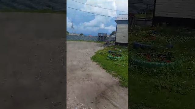 гуляем с моей собачкой смотреть онлайн