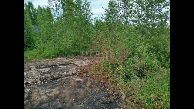 Деревня Велья смотреть онлайн