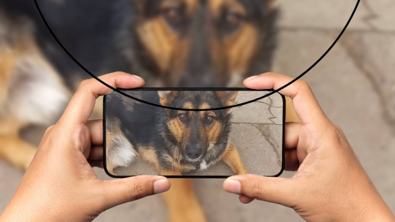 Сторожевой пёс.🐕 смотреть онлайн