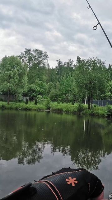 Когда неправильно сделал запрос Вселенной