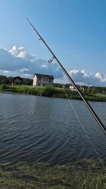 Загрузка Cadence CR5 до 7 грамм на 1.5 г по свинцу