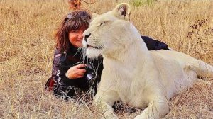 Мама впервые рассказывает ЧТО СЛУЧИЛОСЬ, как произошло столкновение между львом