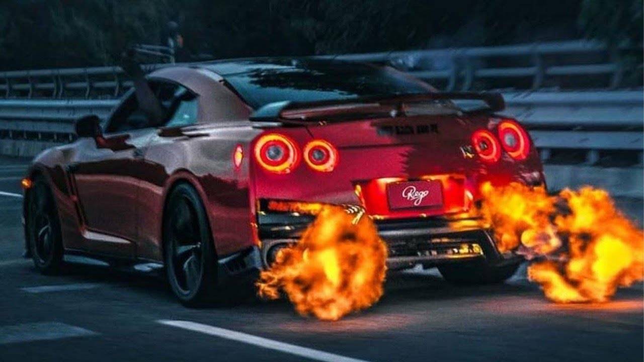 слони зони ин ве зони