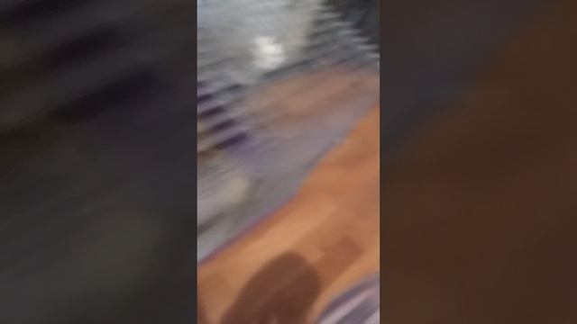 мои крысы смотреть онлайн
