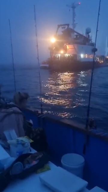 Неудачная ночная рыбалка во Владивостоке смотреть онлайн