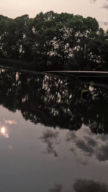 Cadence CR5 на весах в грамм и полтора по свинцу