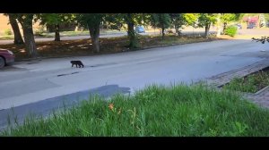 Вечное -Понедельничное